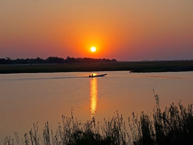 Chobe River Safari