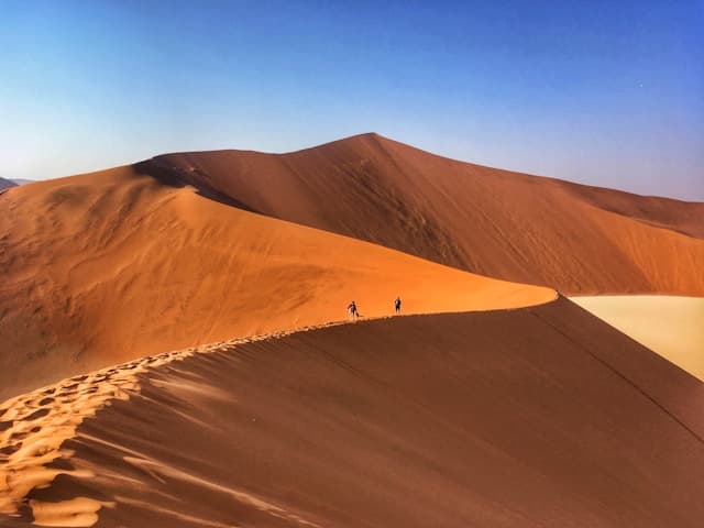 Namibian Desert Odyssey
