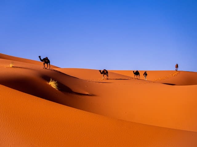 Sahara Desert Crossing